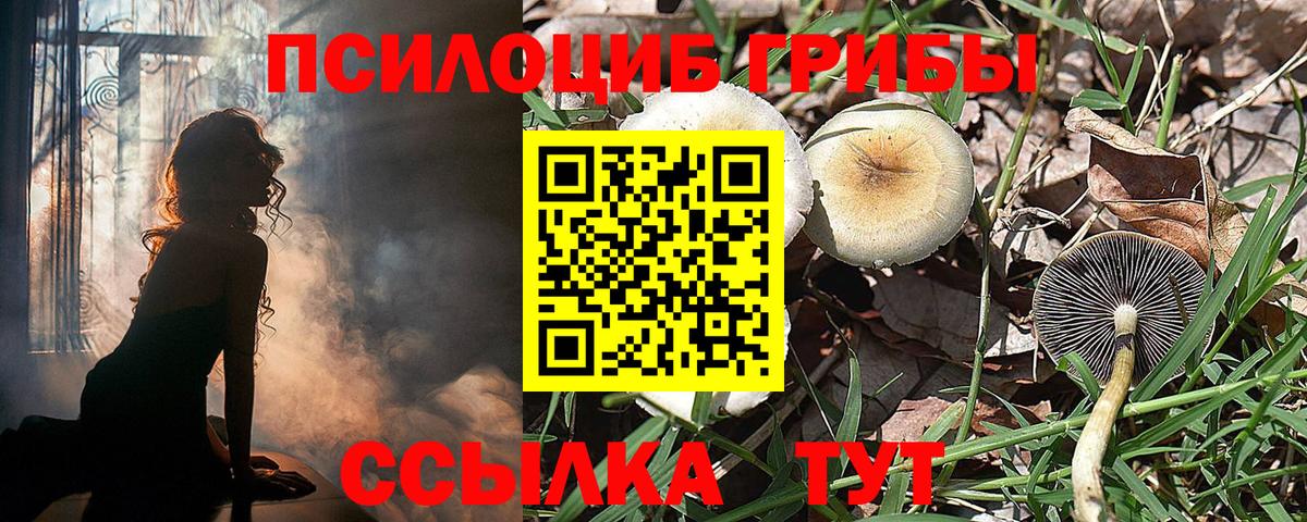 Псилоцибиновые грибы MAGIC MUSHROOMS  Псилоцибиновые грибы Psilocybine cubensis  Ухта  Вход с VPN 